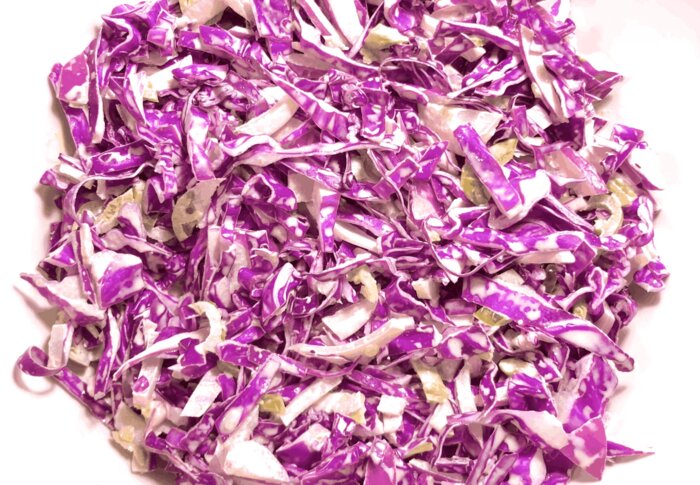Spicy red onion slaw